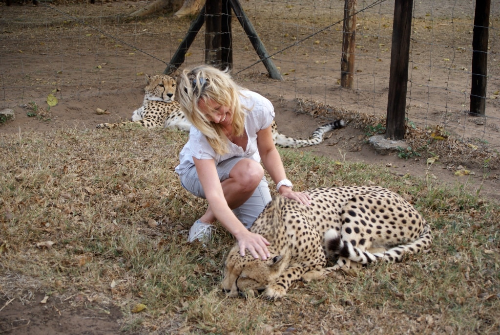 Südafrika: Geparden Endomeni Lodge