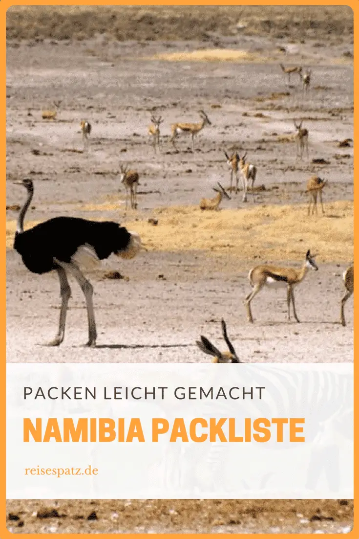 Namibia Packliste - So Hast Du Alles Dabei | ReiseSpatz Reiseblog