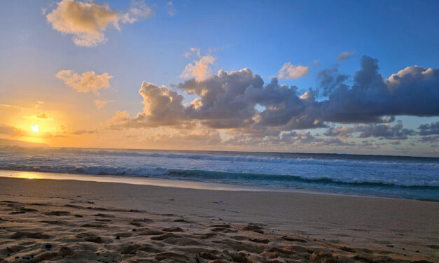 Die 100 besten Reisezitate: von Goethe bis Laotse