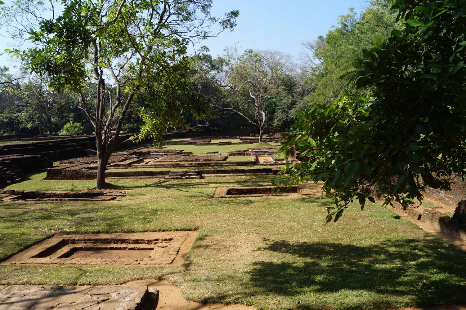 Felsgärten sigiriya Sri Lanka