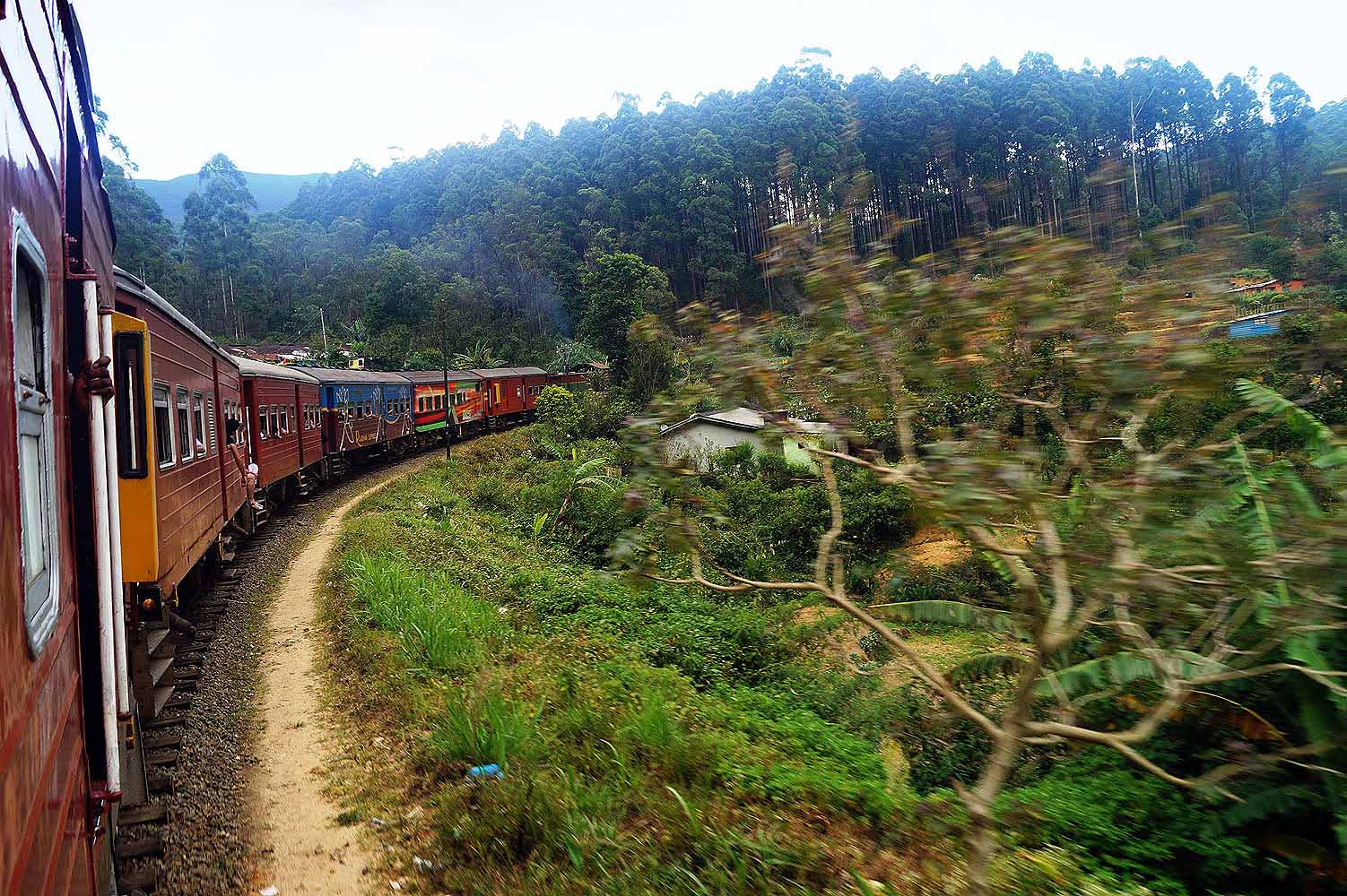Sri Lanka mit Kindern: eine Zugfahrt als Highlight