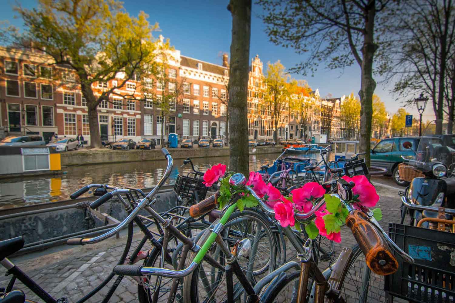 Reiseblogger verraten ihre Lieblingsplätze und Geheimtipps für Amsterdam