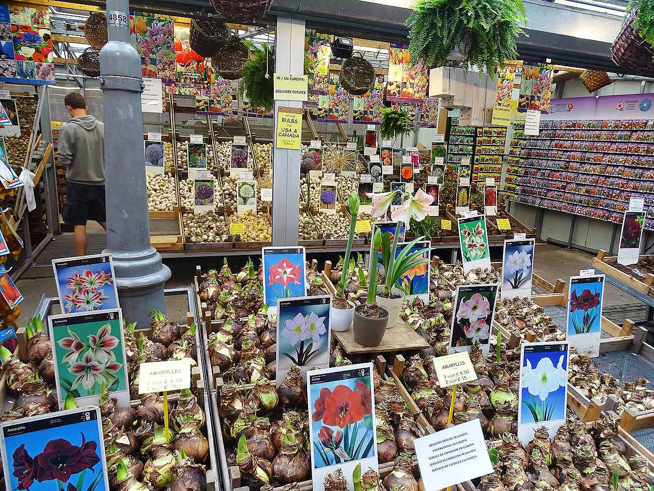 Amsterdam Sehenswürdigkeiten: Blumenmarkt