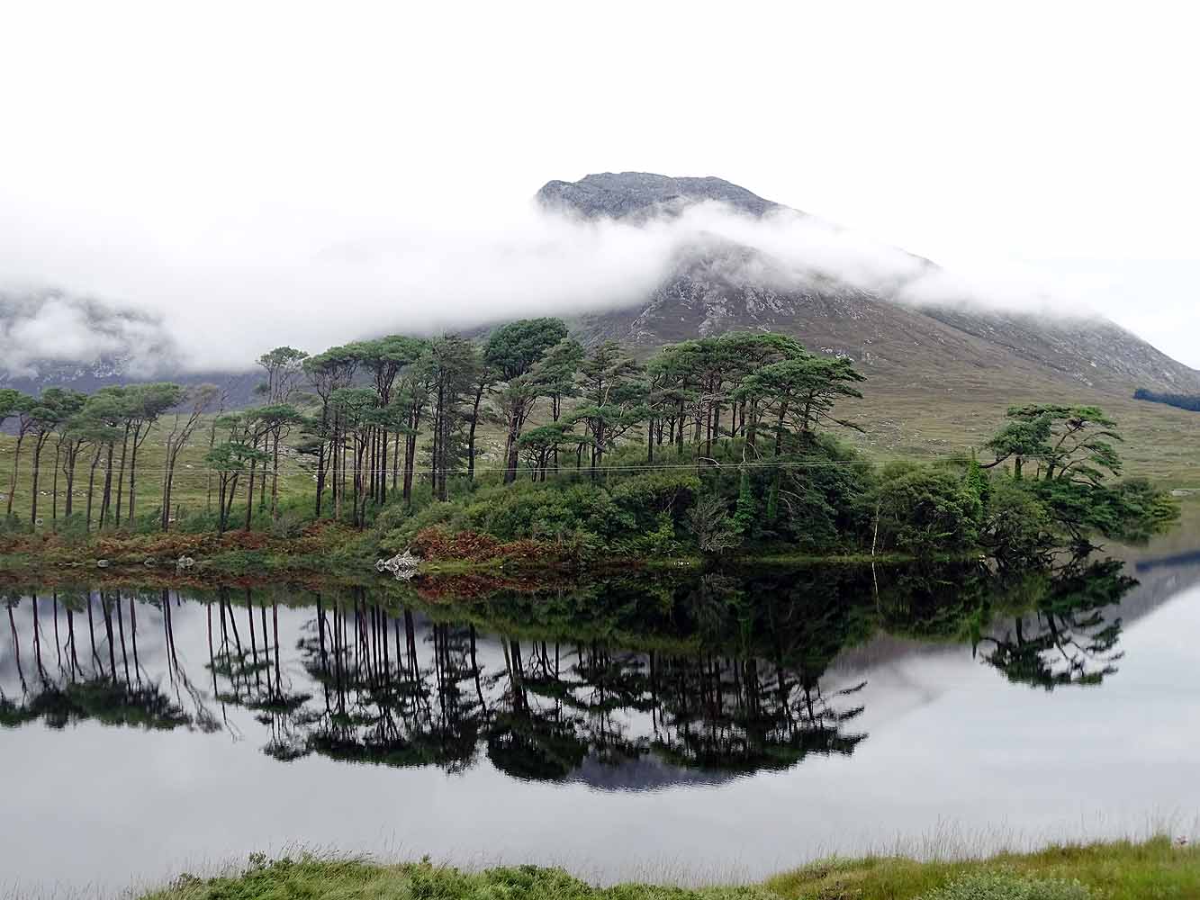 Seen und Wälder im Connemara Nationalpark