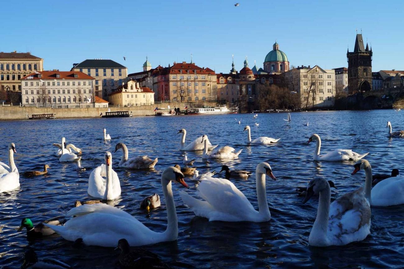 Reiseziele im Frühjahr - Prag