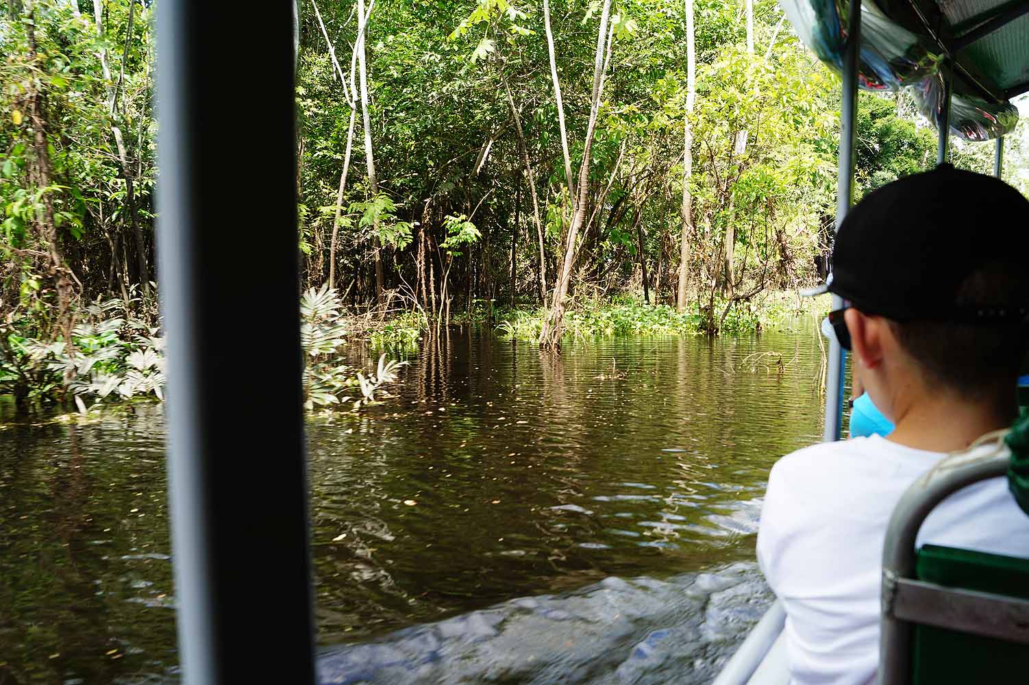 Mit dem Boot in den Amazonas Regenwald
