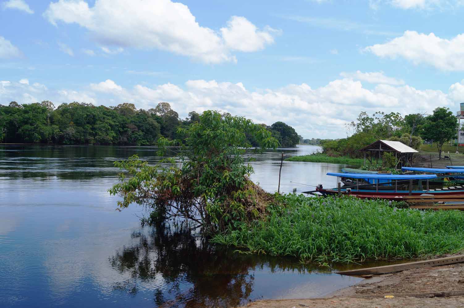 Beste Reisezeit Amazonas Brasilien