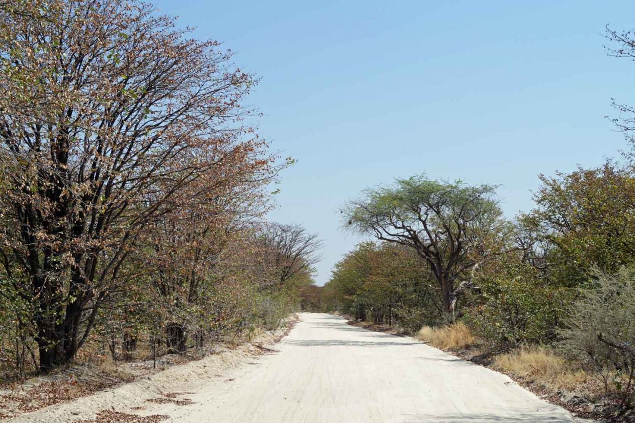Straßen in Botswana Erfahrungen