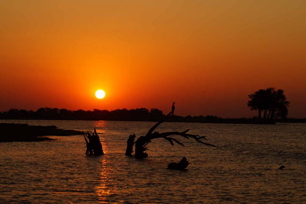 Sonnenuntergang am Chobe River