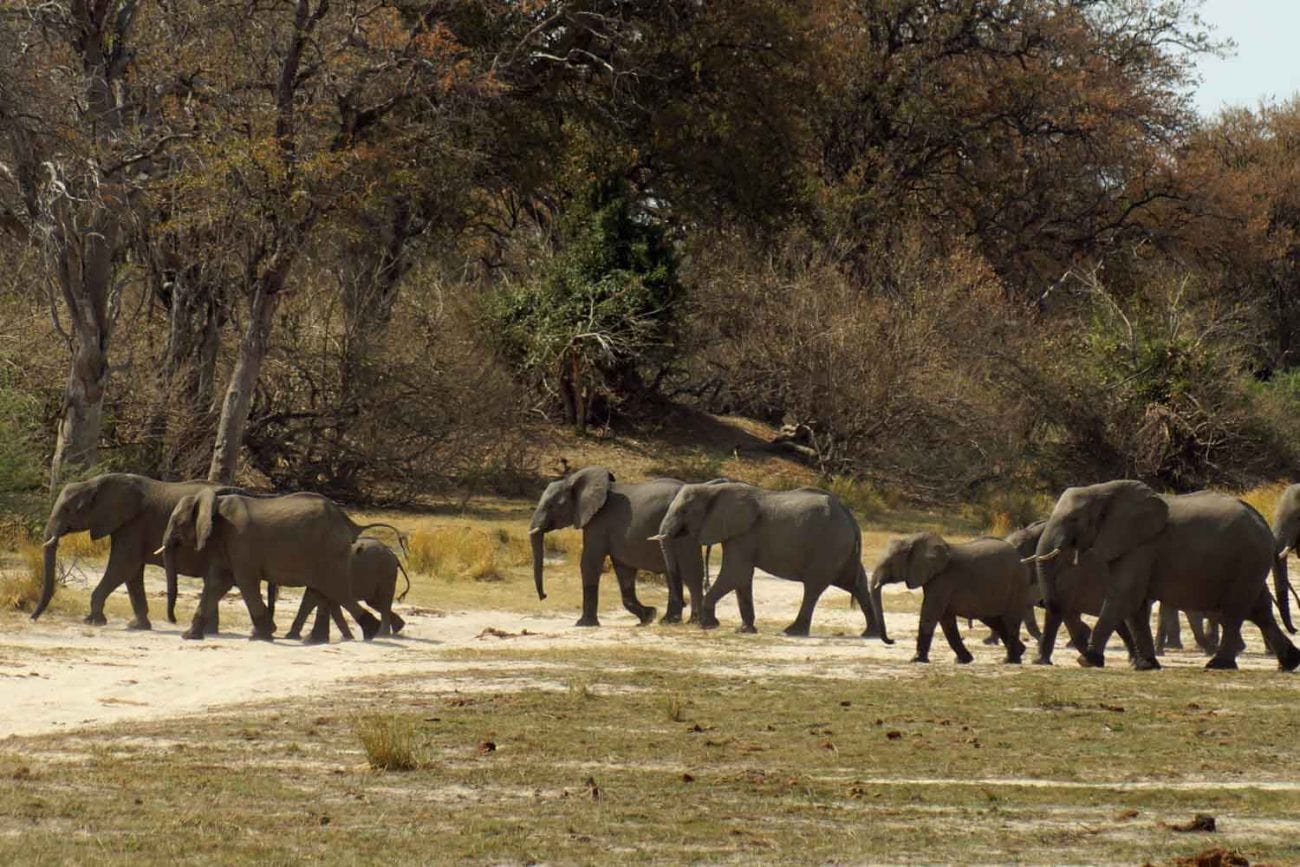 Reiseroute Botswana Namibia