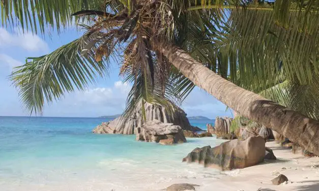 Seychellen preiswert bereisen, geht das? Ein Kostenüberblick.