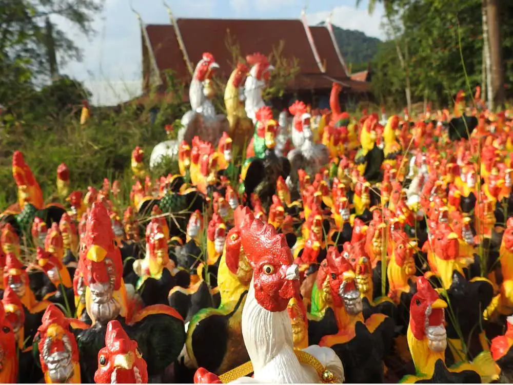 Chicken Tempel Sehenswürdigkeit in Thailand