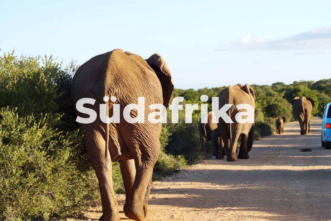 Südafrika Reiseblog