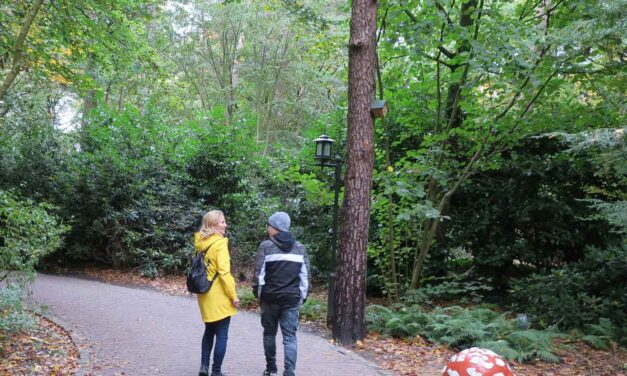 <br>Wohin verreisen mit Teenagern? 21 Ideen für Familienurlaub, der nicht langweilig ist