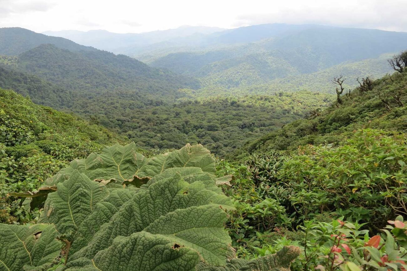 Naturparks Costa Rica