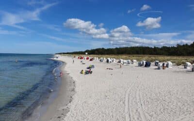 Prerow Tipps für Strand, Weststrand & Ausflüge auf dem Darß