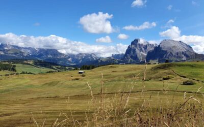 Tipps für ein Aktiv-Wochenende auf der Seiser Alm in Südtirol mit coolen Wanderungen & MTB-Touren