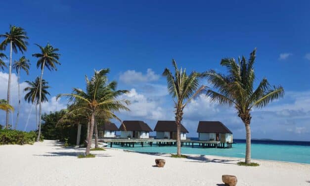 Meine Tipps für einen paradiesischen Urlaub auf den Malediven