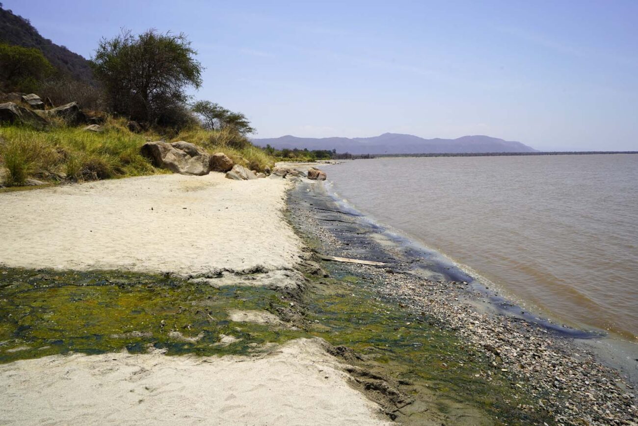 Lake Manyara in Tansania