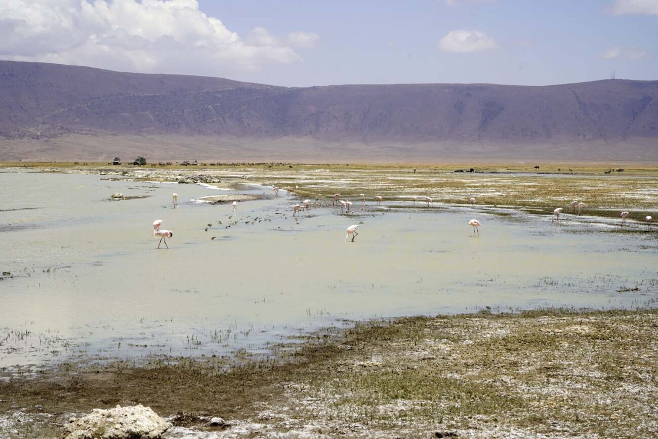 Alkalischer See im Ngorongoro Krater