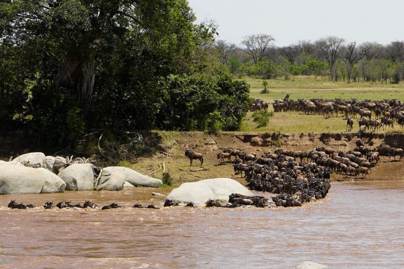 Tansania River Crossing