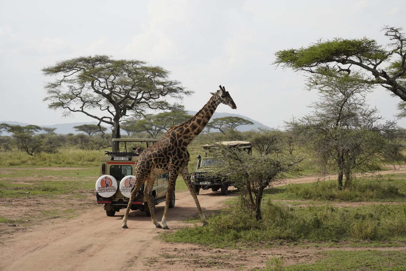 Tansania mit Fahrer