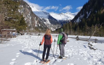 Winter Highlights im Nationalpark Hohe Tauern in Kärnten: von Skifahren am Mölltaler Gletscher bis Lamatrekking