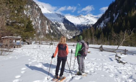 Winter Highlights im Nationalpark Hohe Tauern in Kärnten: von Skifahren am Mölltaler Gletscher bis Lamatrekking