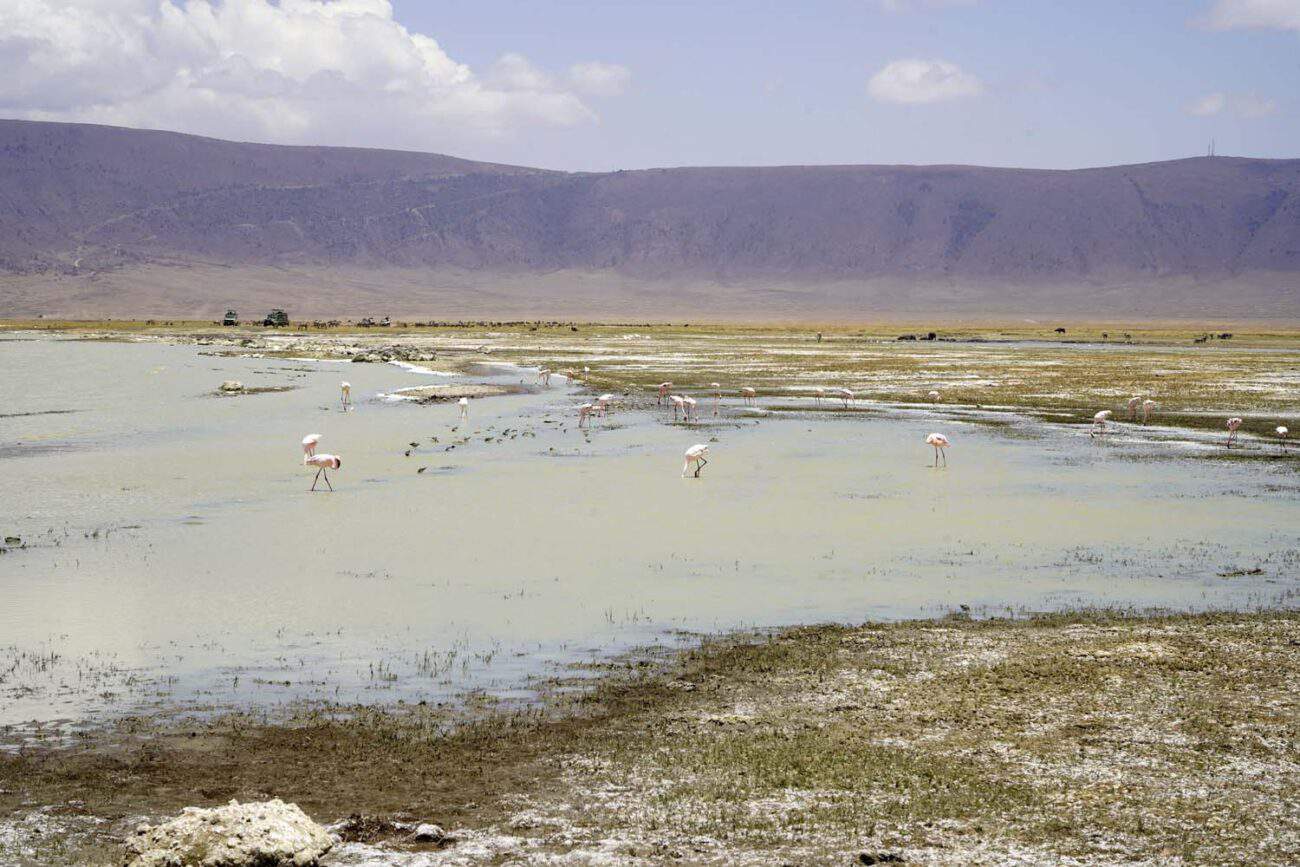 Ngorongoro Krater, Sehenswürdigkeit Afrika