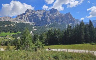 E-MTB in Südtirol: schöne Regionen, Touren & Tipps für sportliche Genussbiker