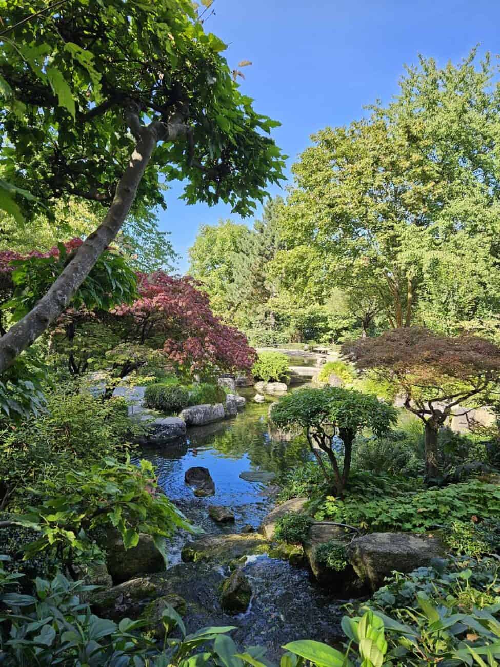 Geheimtipp Japanischer Garten in Würzburg