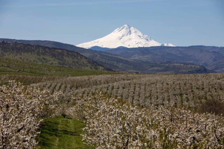 Oregon Roadtrip von Portland zu den 7 Naturwundern