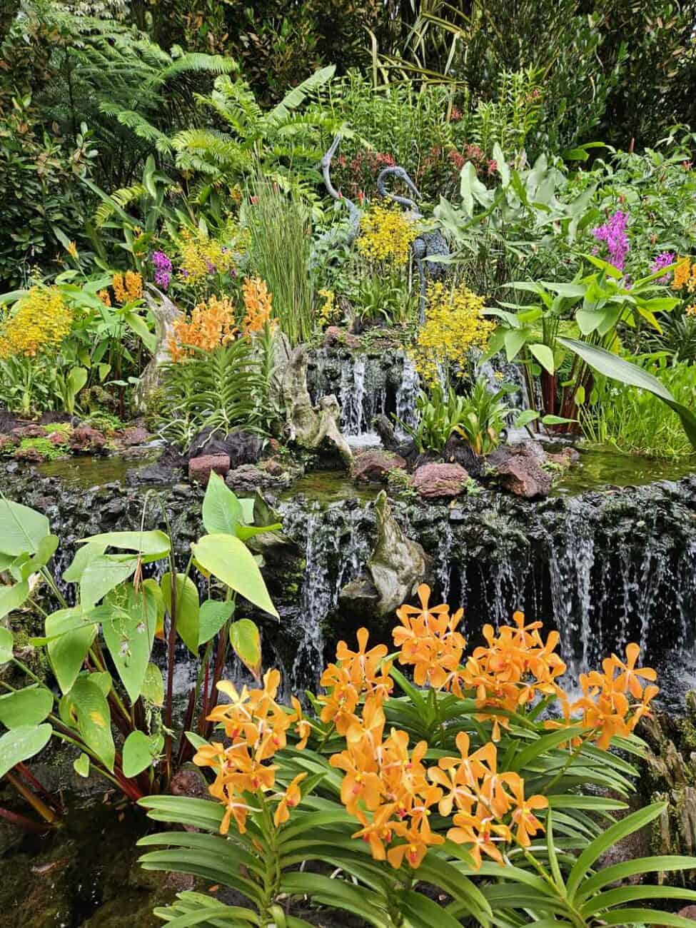 Highlight Orchideengarten im Botanischen Garten in Singapur