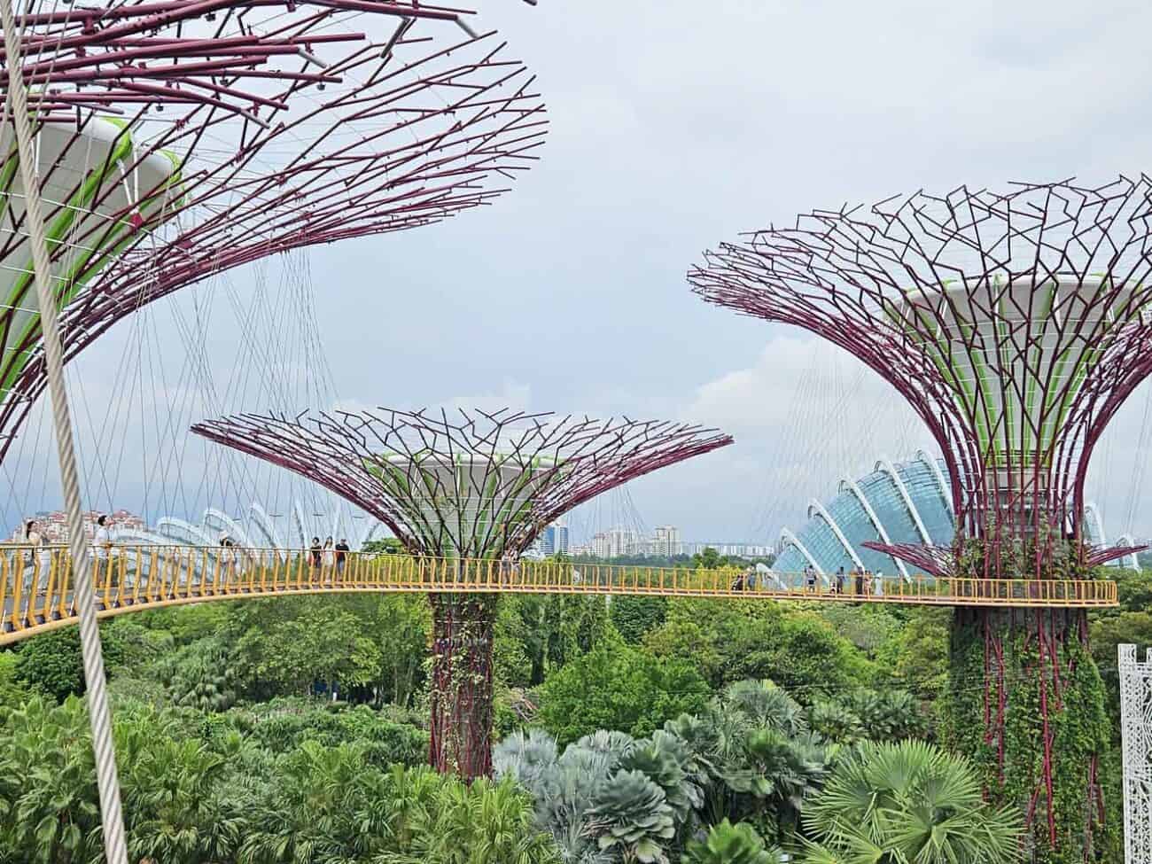 Eine der schönsten Singapur Sehenswürdigkeiten: Gardens by the Bay