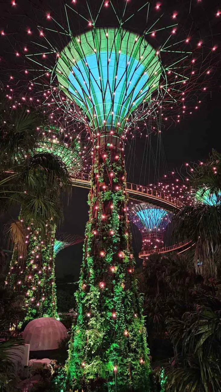 Supertrees in Singapur, ein Highlgiht