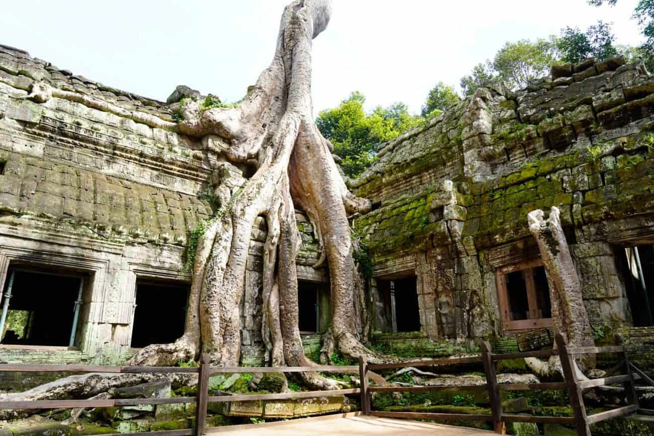 Ta Phrom Tempfel in Angkor