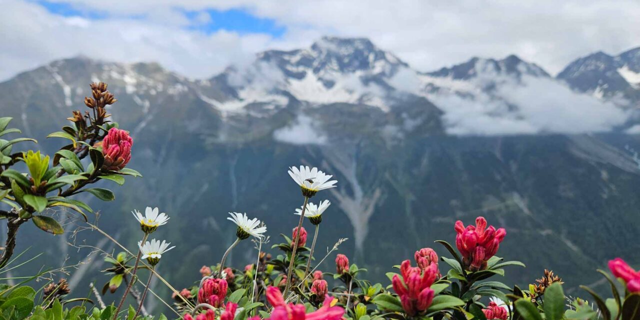 Bergsommer im Ötztal: Aktivurlaub mit Mountainbiken & Wandern in Längenfeld