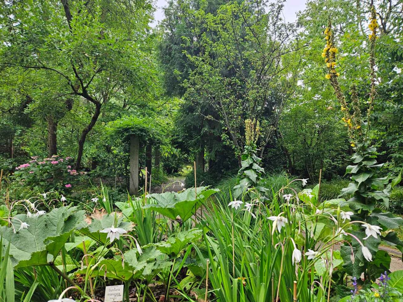 Botanischer Garten Erlangen