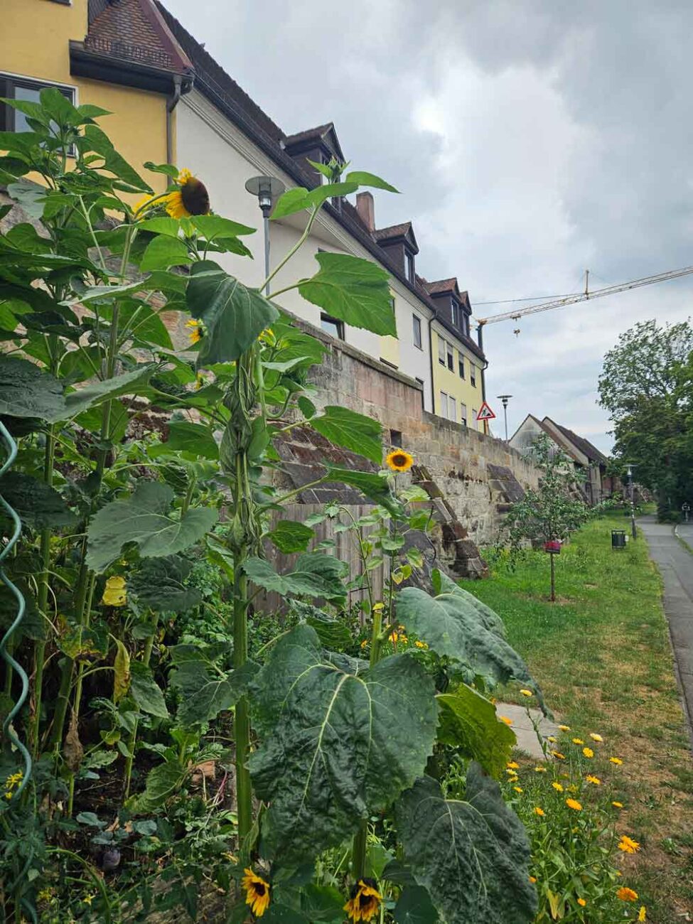 Geheimtipp Erlangen: Saugraben