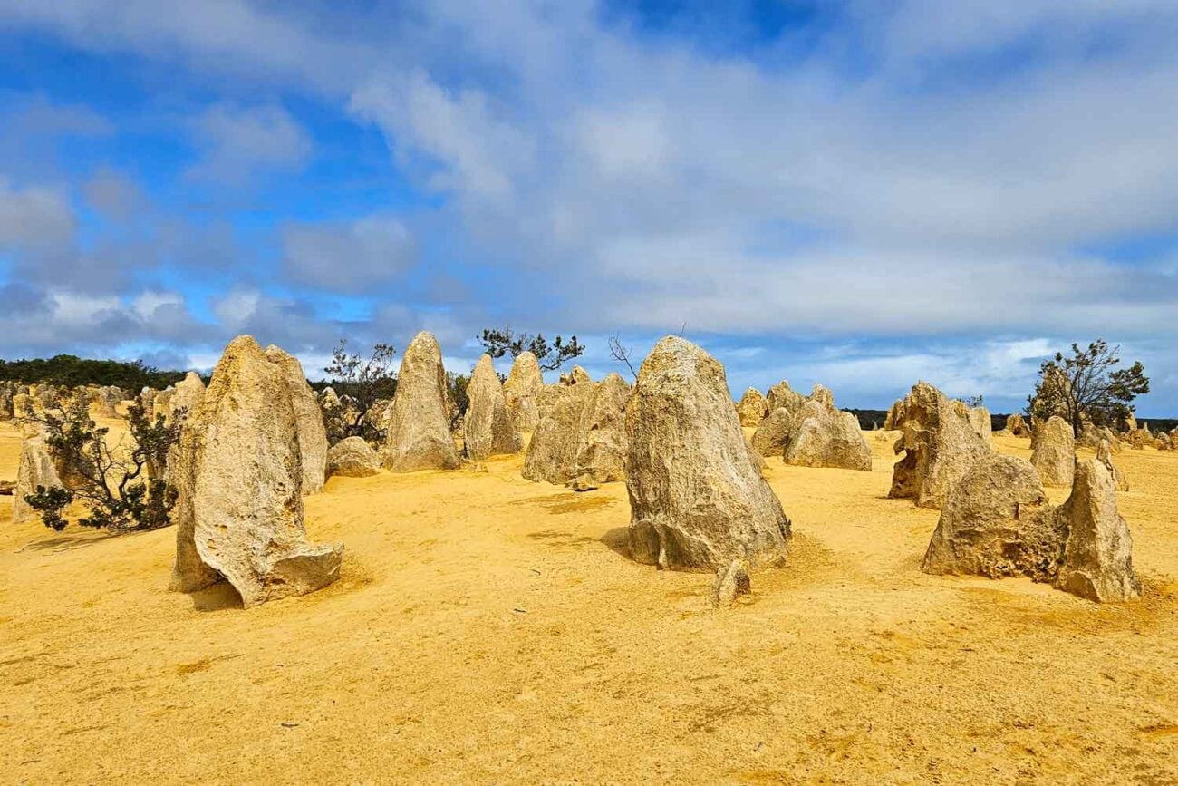 Pinnacles - Anreise und Informationen