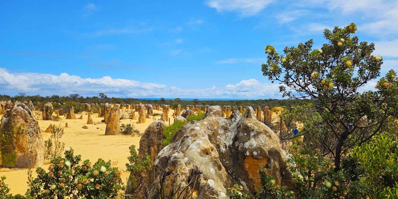 Die Pinnacles in Westaustralien – Meine Tipps für das Naturwunder