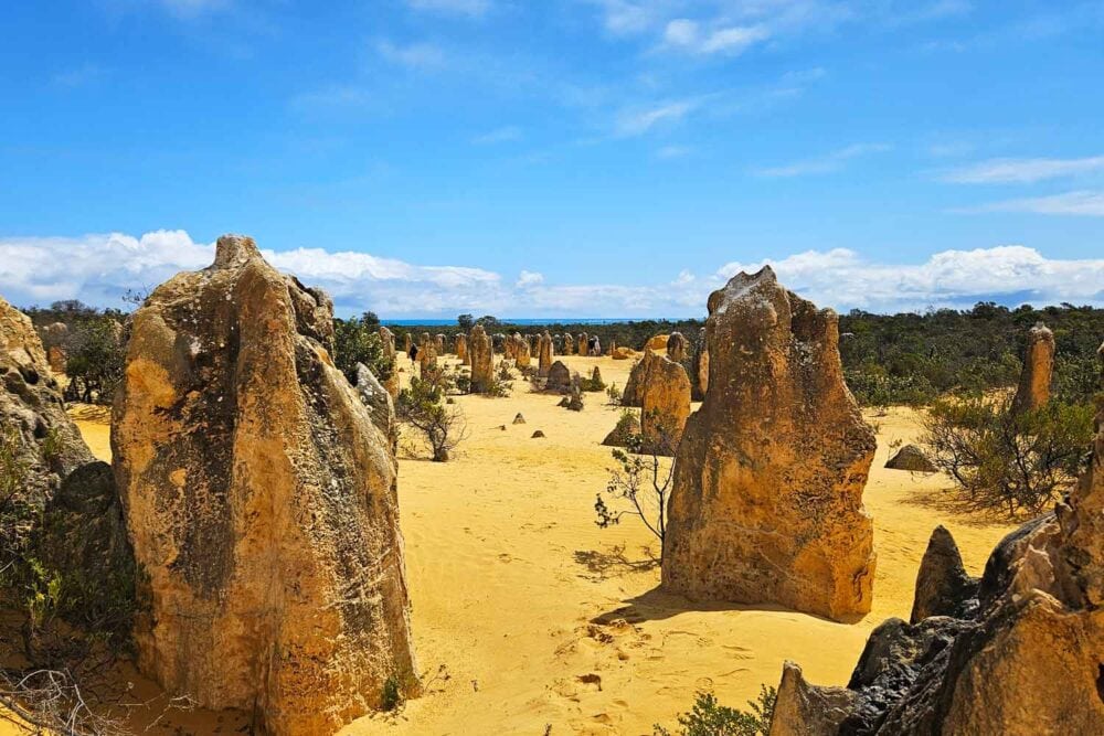 Entstehung der Pinnacles in Westaustralien