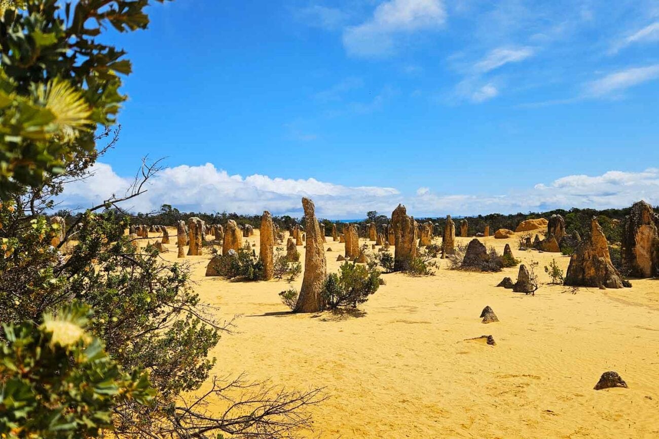 Pinnacles Westaustralien Erfahrungen
