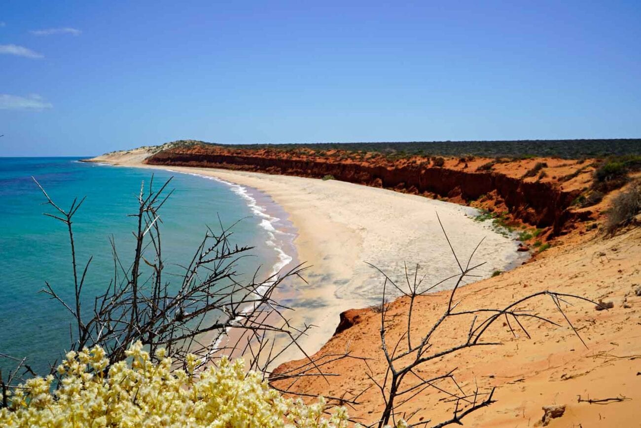 Highlight: François-Péron-Nationalpark