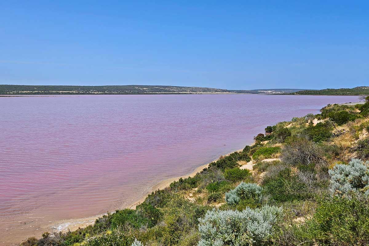 Insidertipp: Pink Lake in Westaustralien