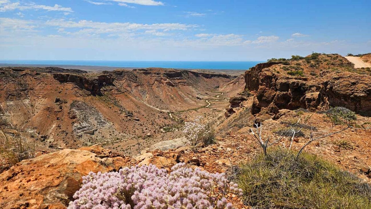 Ausflugstipp Exmouth