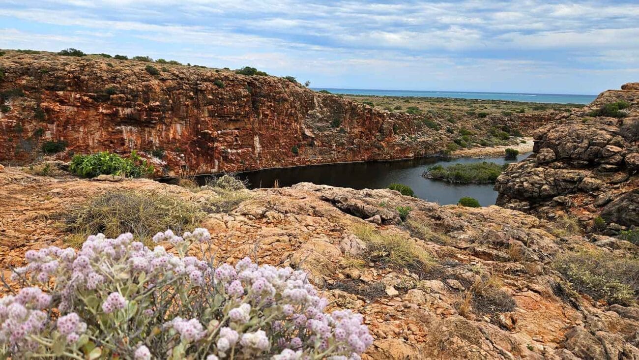  Yardie Creek Trail Erfahrungen
