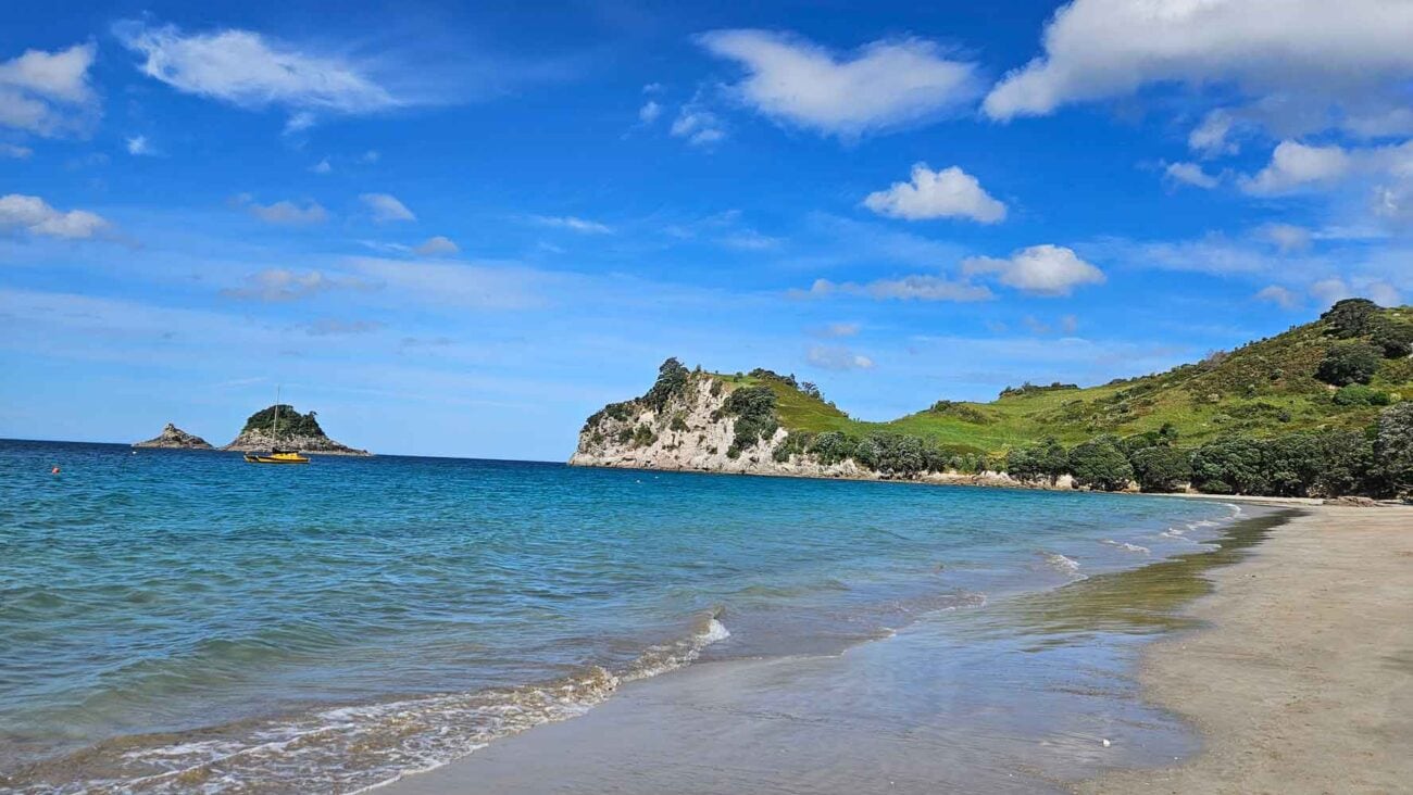 Neuseeland Roadtrip mit Hahei, Coromandel Halbinsel