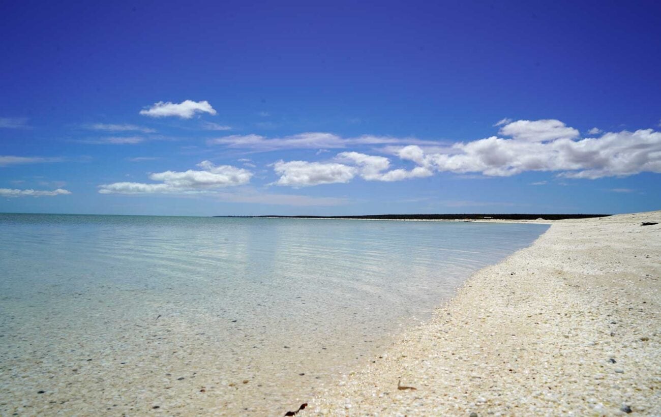 Muschelstrand in Shark Bay