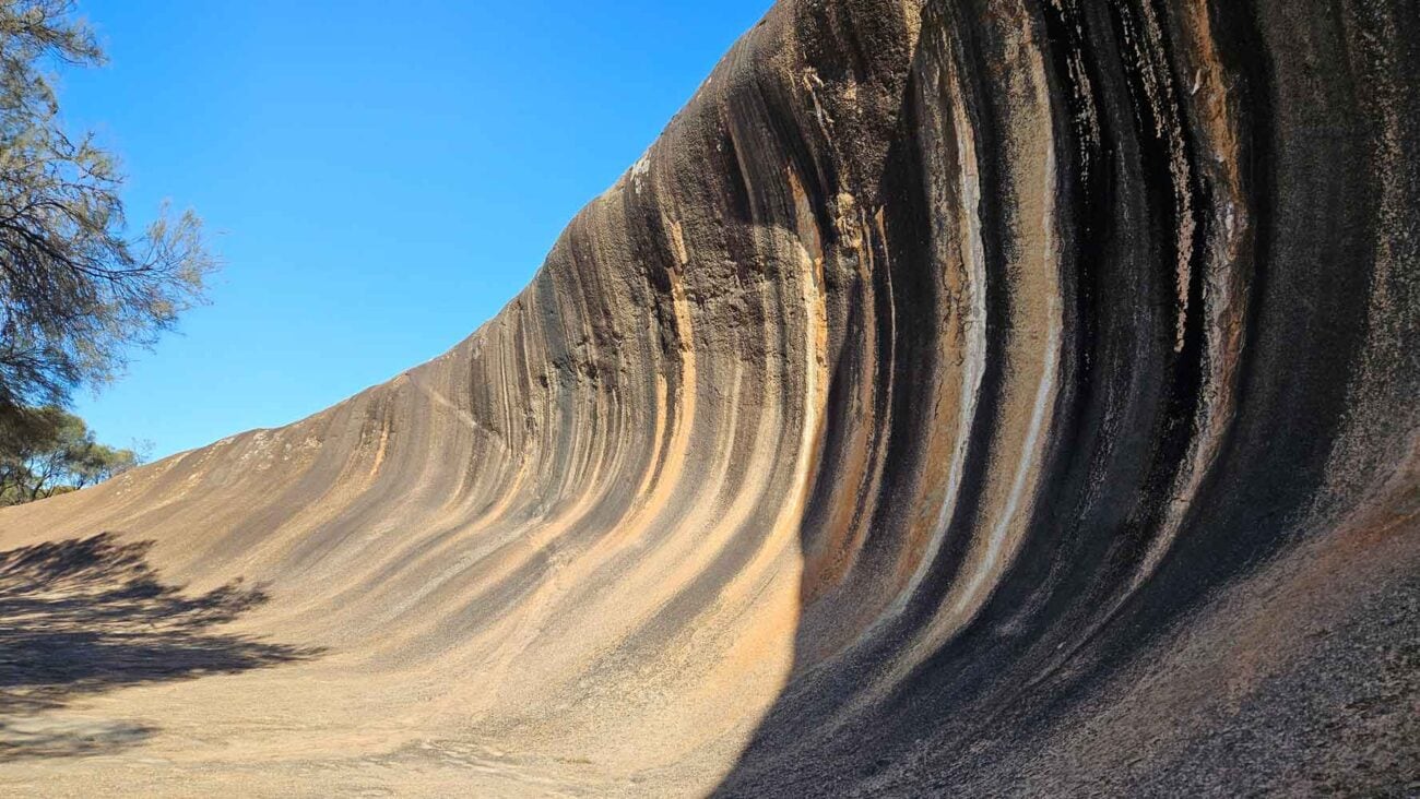 Wave Rock  – leuchtende Farben an der Felswand in Westaustralien